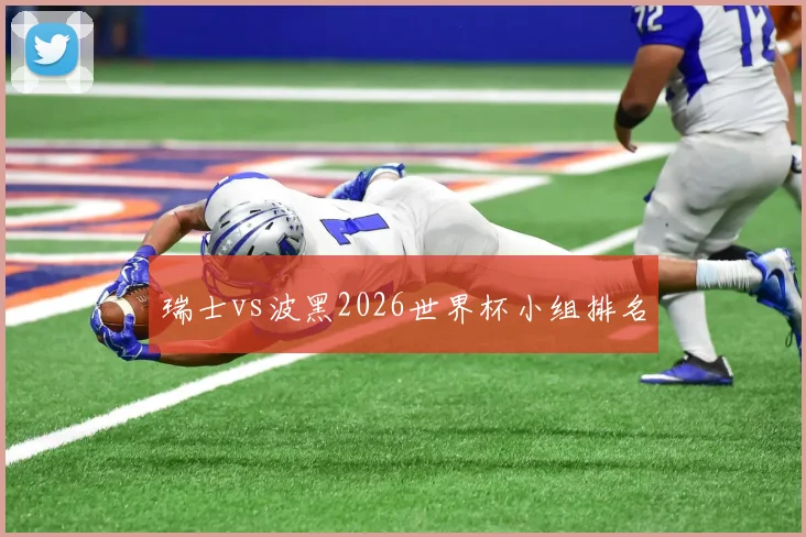 瑞士vs波黑2026世界杯小组排名