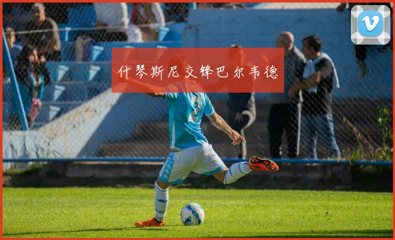 什琴斯尼交锋巴尔韦德