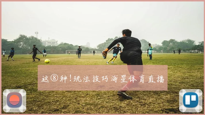 这⑧种!玩法技巧海星体育直播