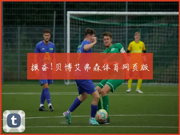 振奋!贝博艾弗森体育网页版