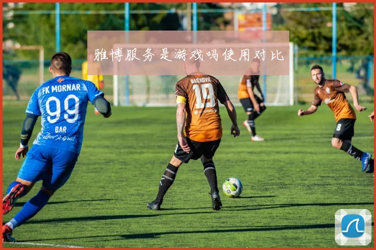 雅博服务是游戏吗使用对比