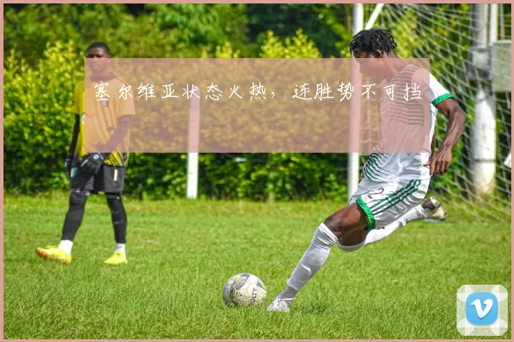 塞尔维亚状态火热，连胜势不可挡
