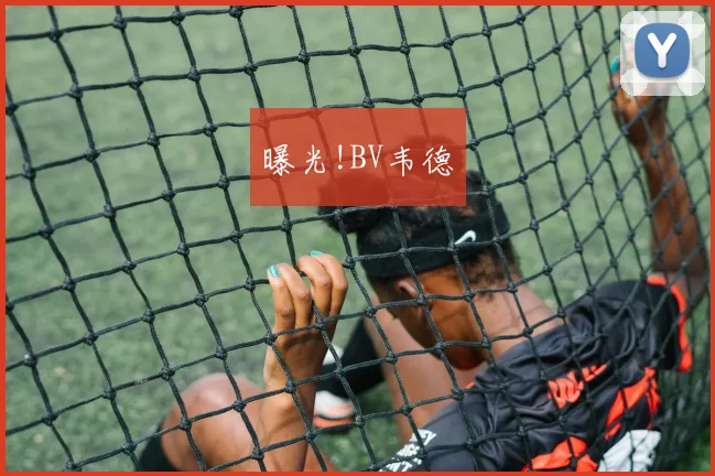 曝光!BV韦德