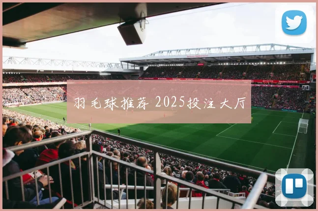 羽毛球推荐 2025投注大厅