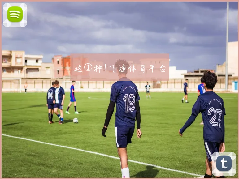 这①种!飞速体育平台