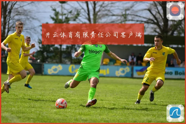 开云体育有限责任公司客户端
