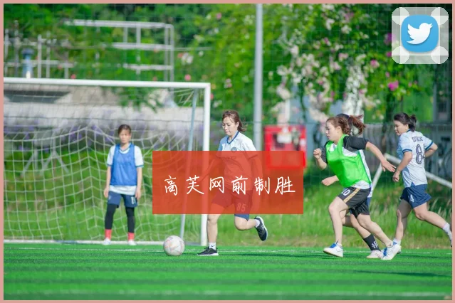 高芙网前制胜