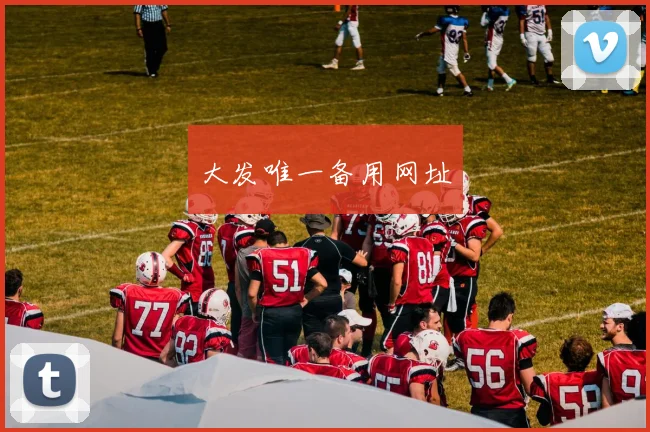 大发唯一备用网址