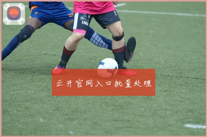 云开官网入口批量处理