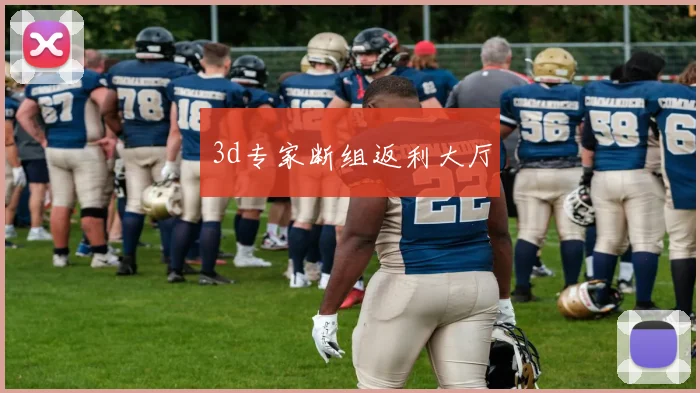 3d专家断组返利大厅