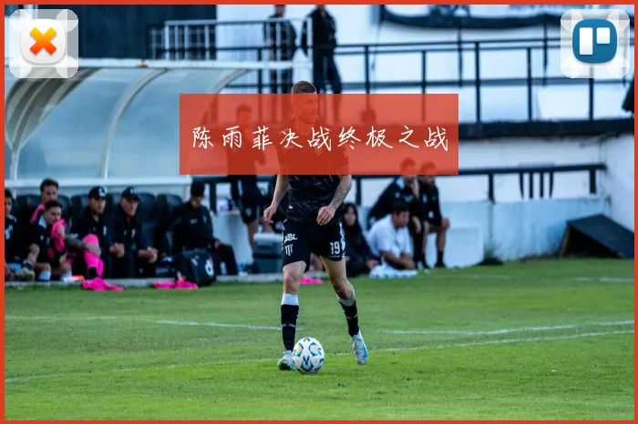 陈雨菲决战终极之战