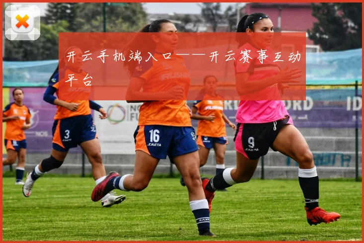 开云手机端入口——开云赛事互动平台
