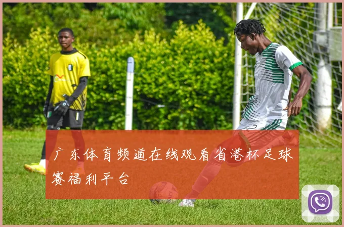 广东体育频道在线观看省港杯足球赛福利平台