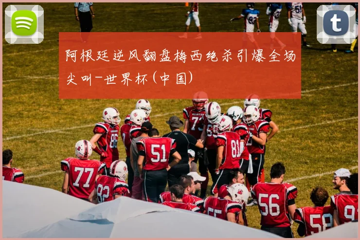 阿根廷逆风翻盘梅西绝杀引爆全场尖叫-世界杯(中国)