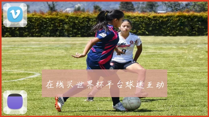 在线买世界杯平台球迷互动