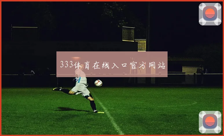 333体育在线入口官方网站