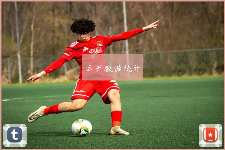 云开数据统计