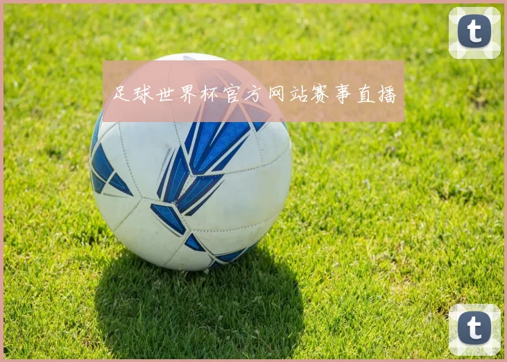 足球世界杯官方网站赛事直播