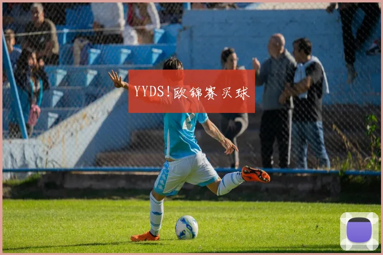 YYDS!欧锦赛买球