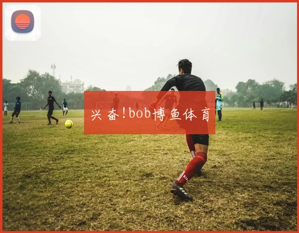 兴奋!bob博鱼体育
