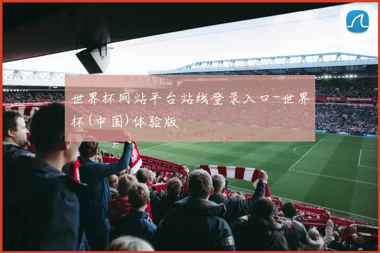 世界杯网站平台站线登录入口-世界杯(中国)体验版