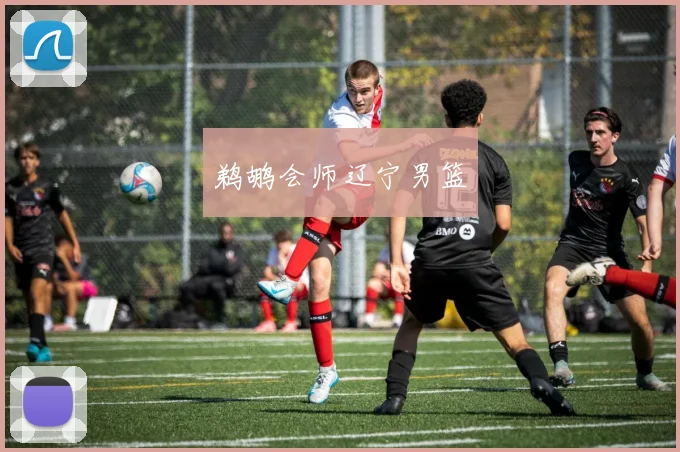 鹈鹕会师辽宁男篮