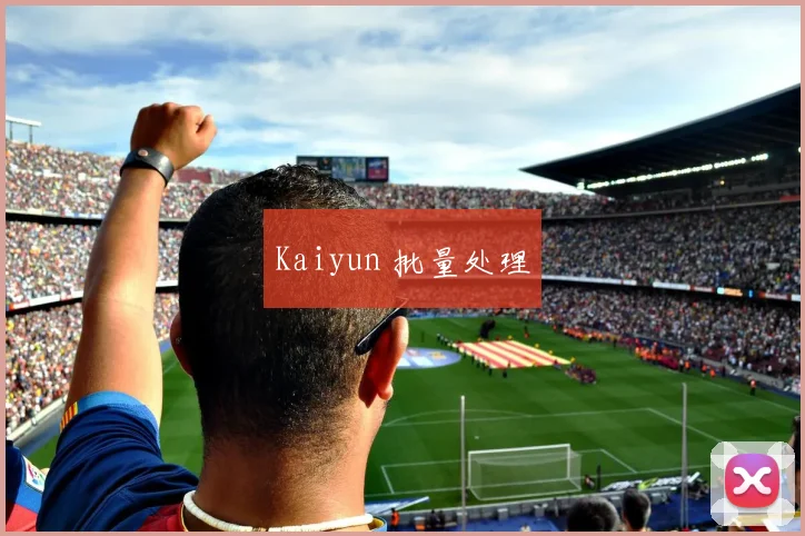 Kaiyun 批量处理