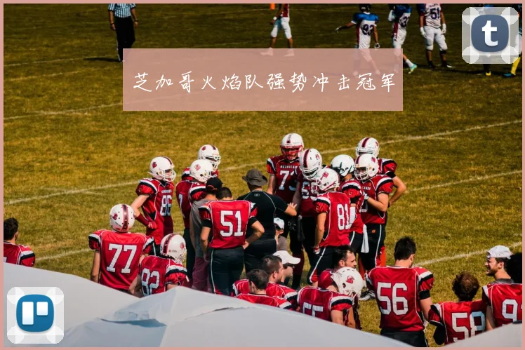 芝加哥火焰队强势冲击冠军