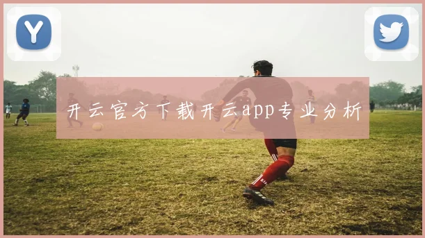开云官方下载开云app专业分析