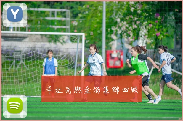 辛杜高燃全场集锦回顾