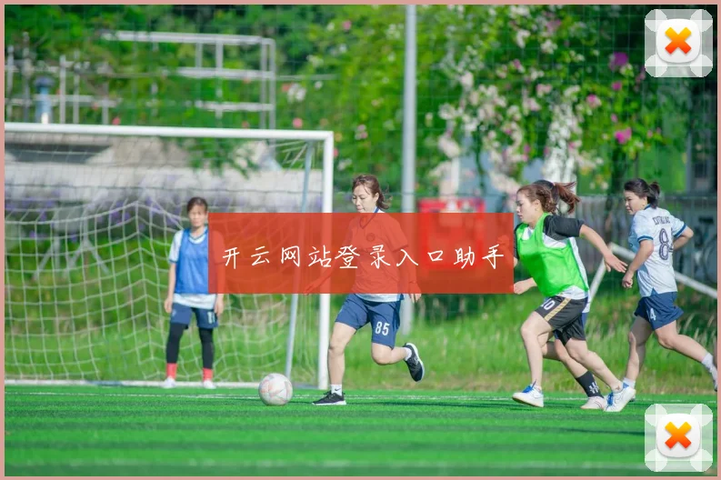 开云网站登录入口助手