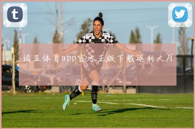 诺亚体育app官方正版下载返利大厅