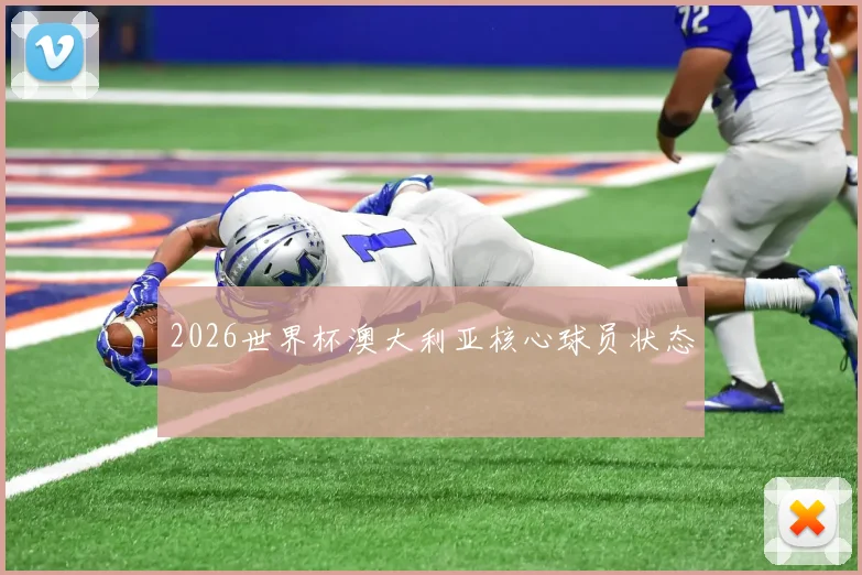 2026世界杯澳大利亚核心球员状态