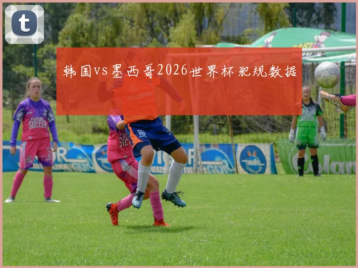 韩国vs墨西哥2026世界杯犯规数据