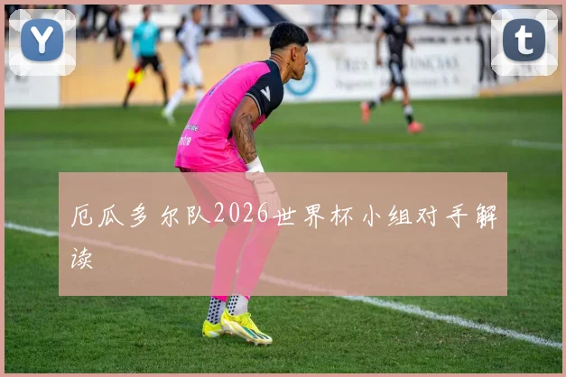 厄瓜多尔队2026世界杯小组对手解读