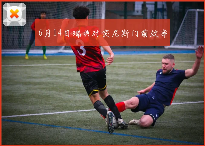 6月14日瑞典对突尼斯门前效率
