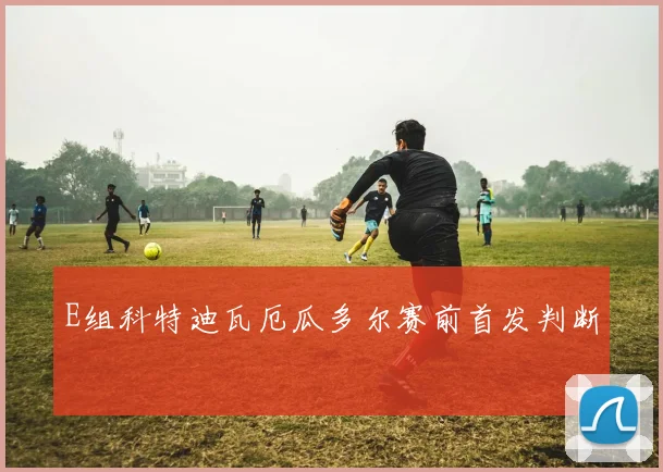 E组科特迪瓦厄瓜多尔赛前首发判断