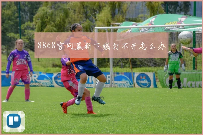 8868官网最新下载打不开怎么办