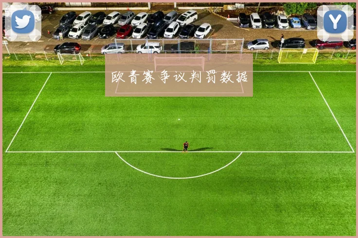 欧青赛争议判罚数据
